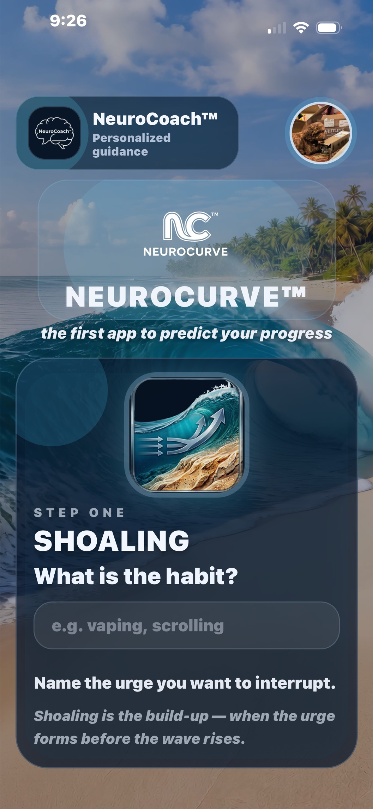NeuroCurve shoaling screen